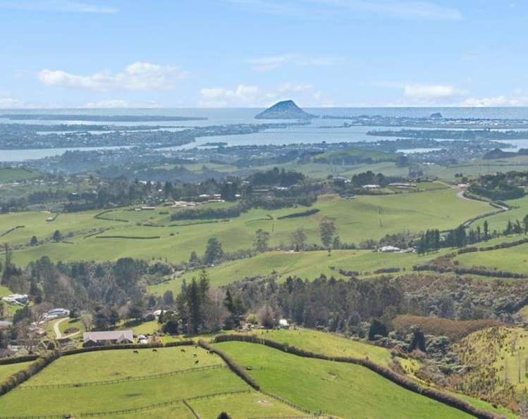 4 Adrine Lane Ohauiti_8