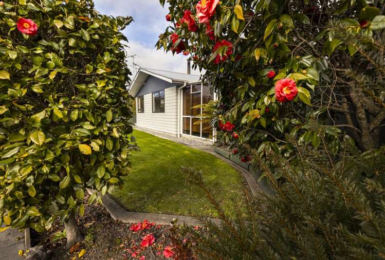 62 Park Terrace Blenheim Central_16