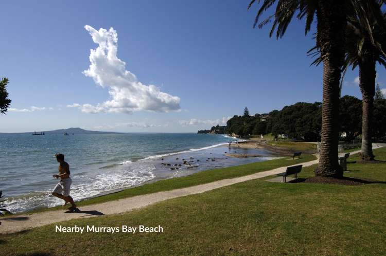 19a Scarboro Terrace Murrays Bay_18