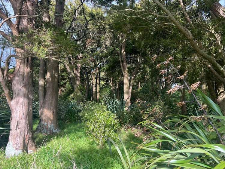 341 Maharahara Road Dannevirke_19