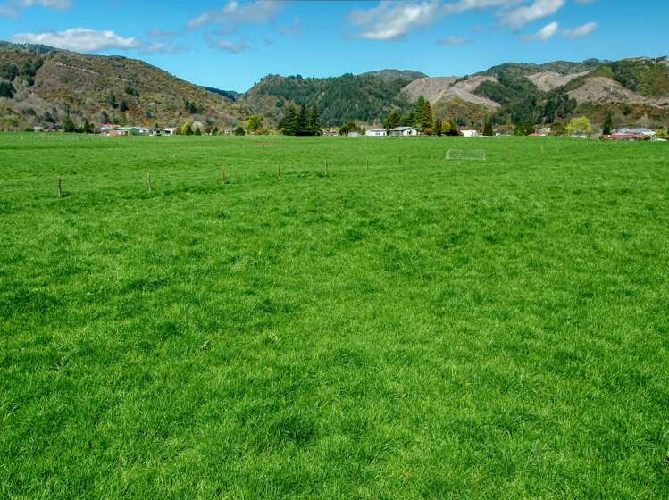 22 Butts Road Reefton_8