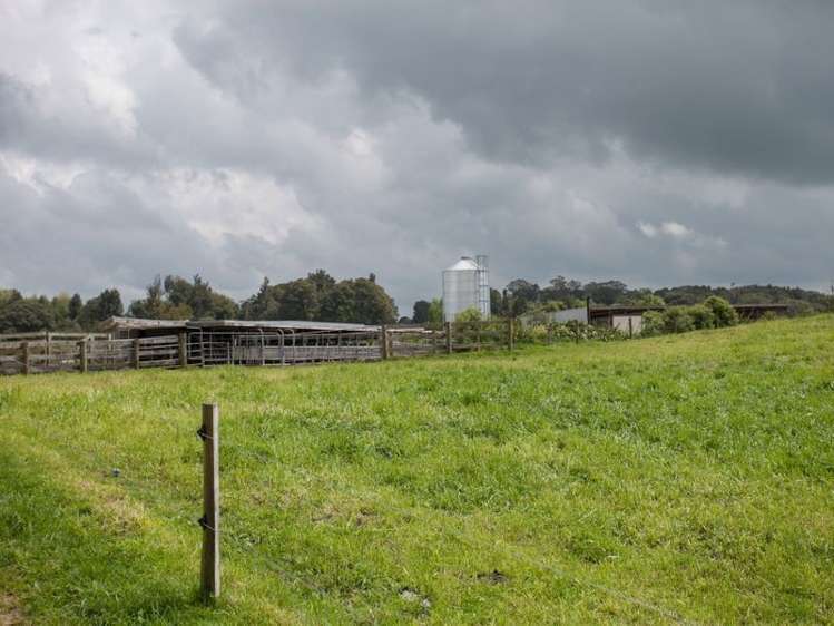 438 Waotu South Road Putaruru_29