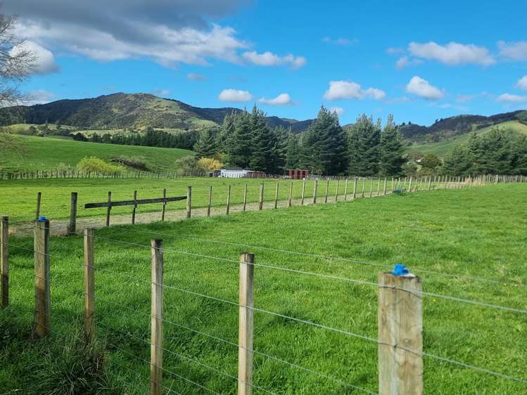 3345A Weber Road Dannevirke_25