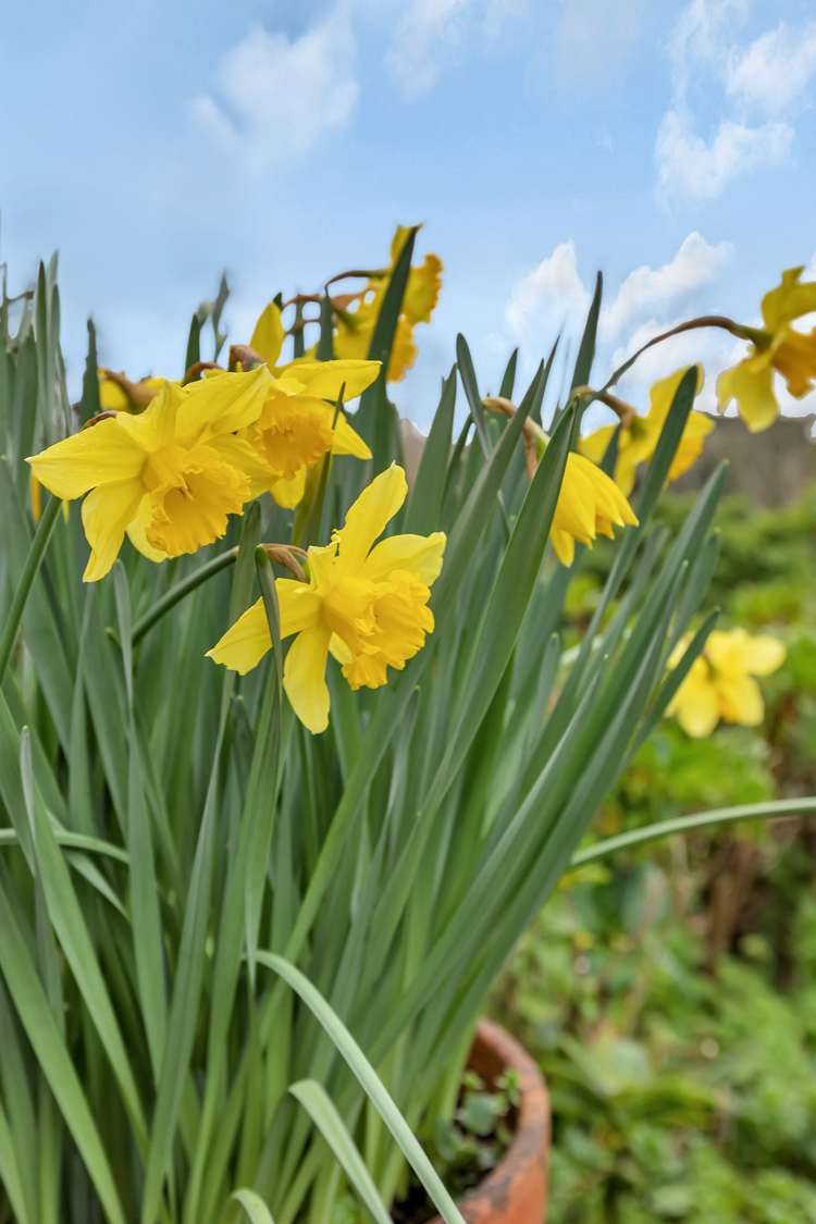 243 Mangapai Road Mangapai and Surrounds_23