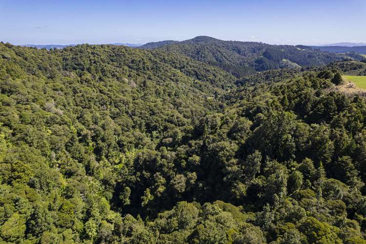 114 Hay Road Hukerenui and Surrounds_31