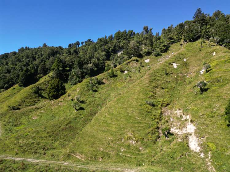 900 Okoki Road Okoki_7