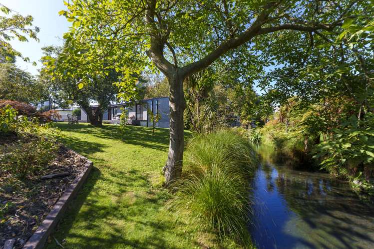 7 Domain Terrace Spreydon_13