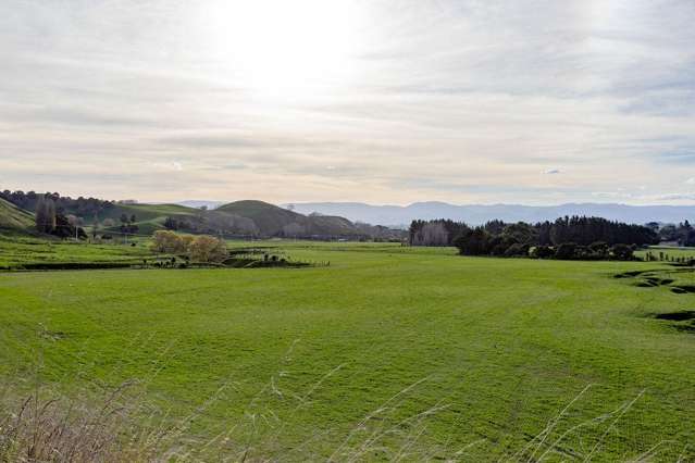 30 Mangahei Road Dannevirke_3