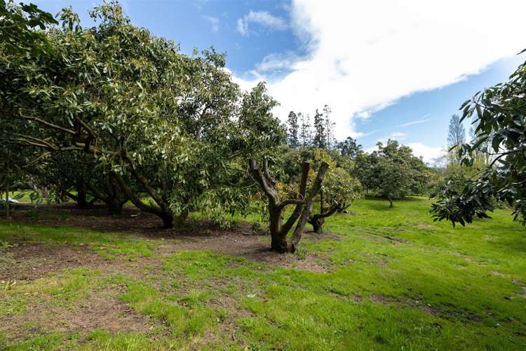 10 Kenana Road Te Puke_25