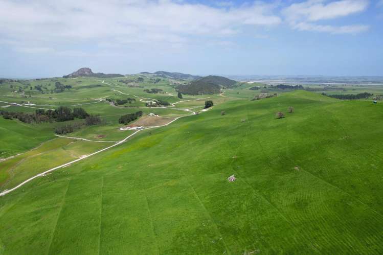 3050 Mititai Road Dargaville_15