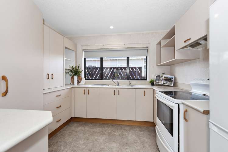 36 Page Street Morrinsville_6