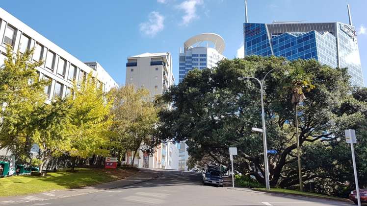 14f/2 Eden Crescent Auckland Central_11