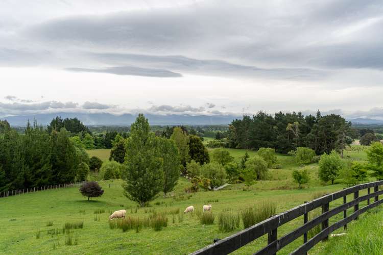 117 Lees Pakaraka Road Masterton_3