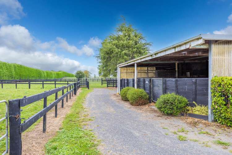 4602A State Highway 29 Matamata_15