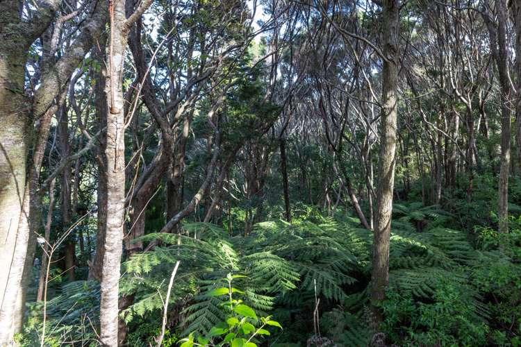 22D Paihia Road Paihia_11