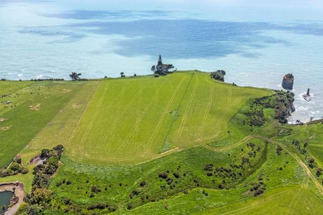 1119 Main North Road Onaero_4