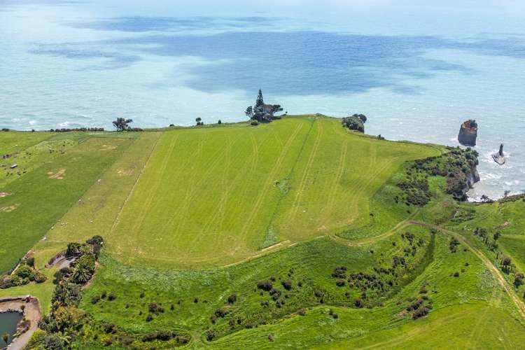 1119 Main North Road_4