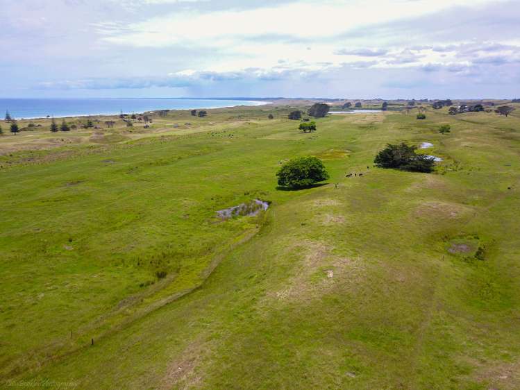 Takahe Street Masterton_10