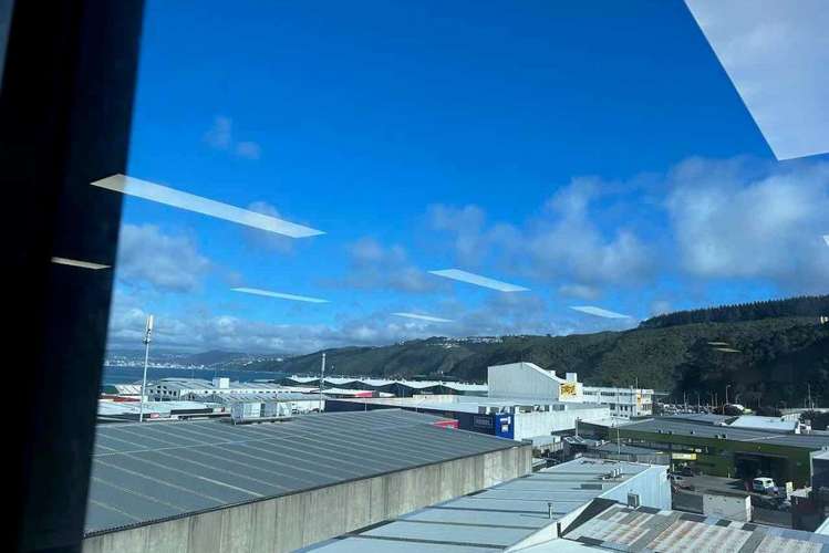 106 Jackson Street Petone_11