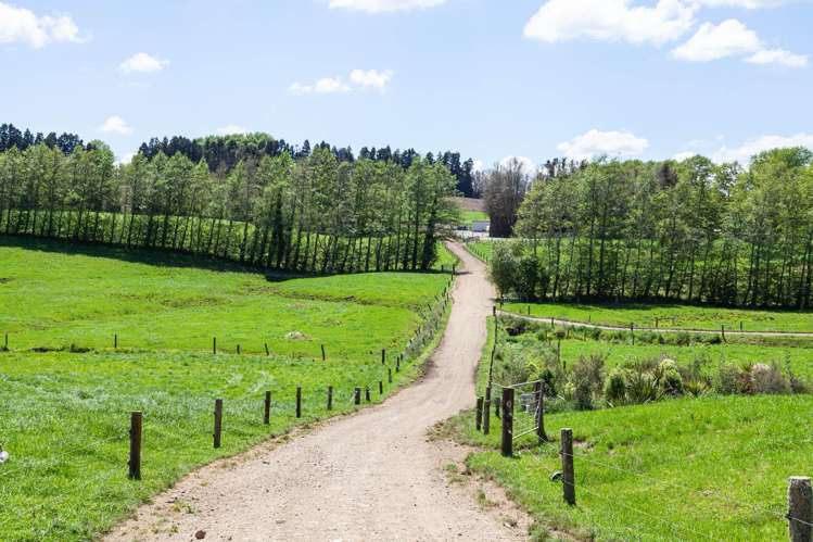 774 Buckland Road Matamata_26