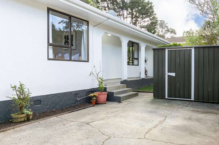 55b Cortina Avenue Johnsonville_15