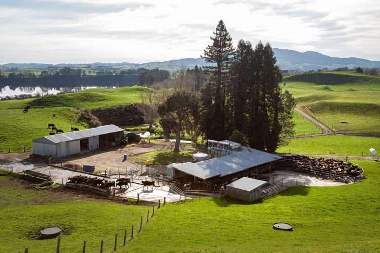 820 Lake Arapuni Road Arapuni_18