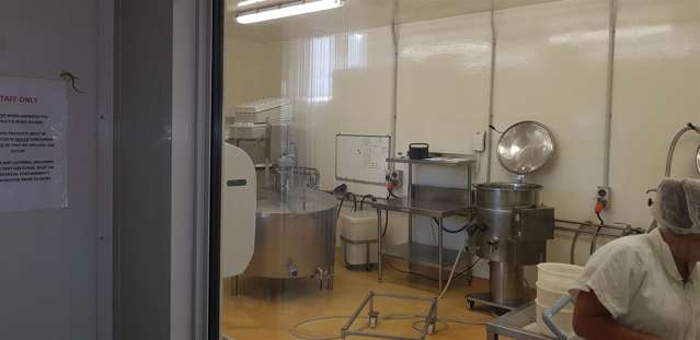 81 Port Road Whangarei Central_4