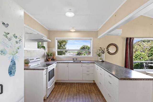 11a Ema Street Te Aroha_2