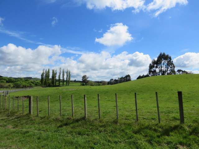 17 Riley Place Owhango_1