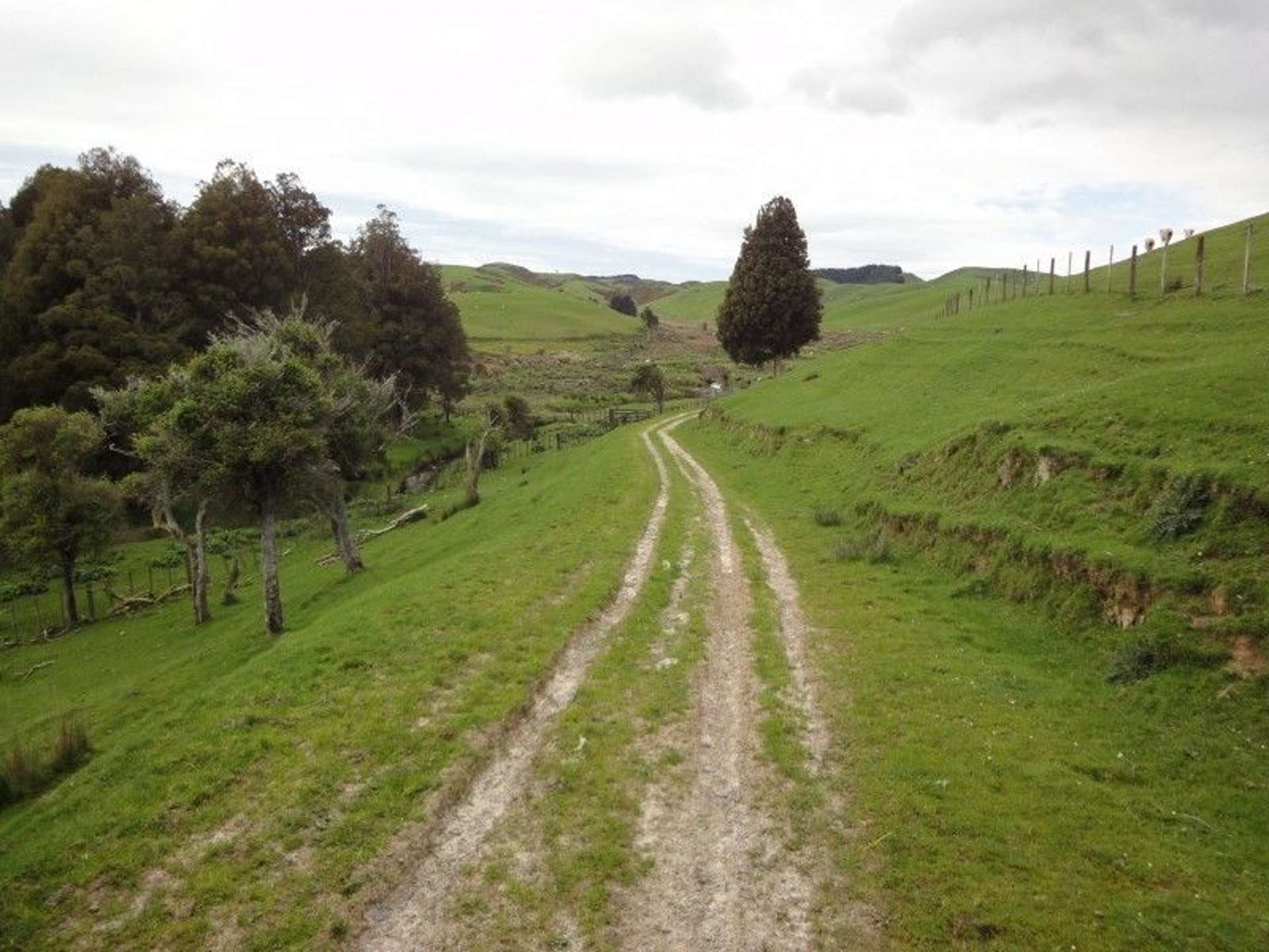 509 Mangaramarama Road Pahiatua_0