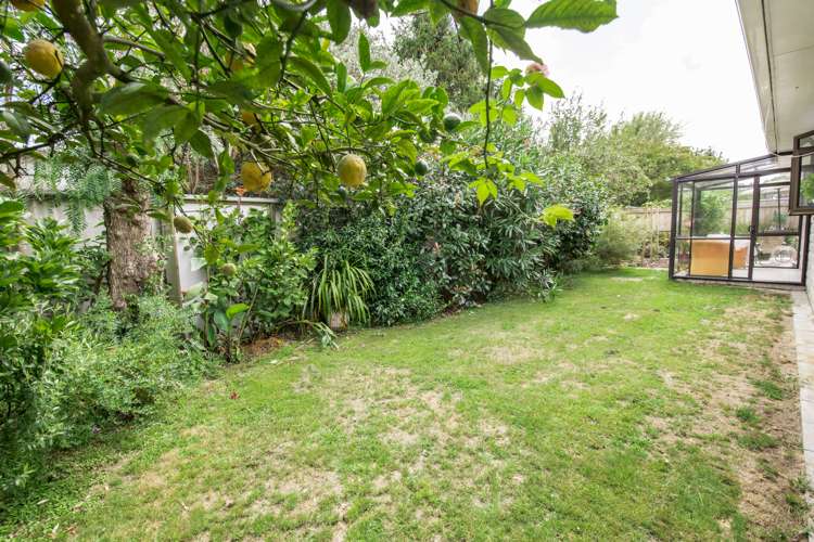 2/29 Rosebank Grove Waikanae_16