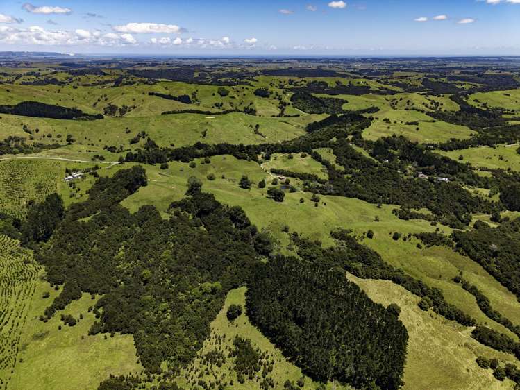 770 Fisher-Riley Road_5