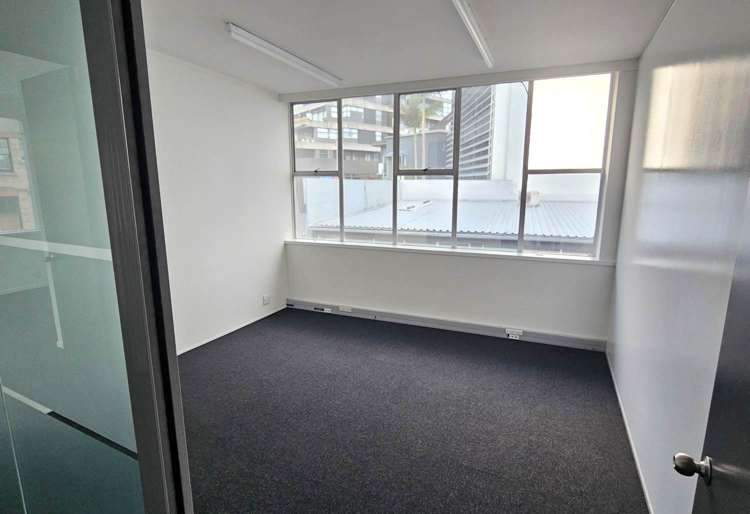 16 Heather Street Parnell_5