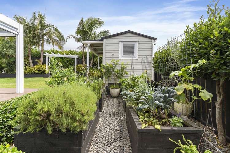 2/19 Tramway Road Beach Haven_13