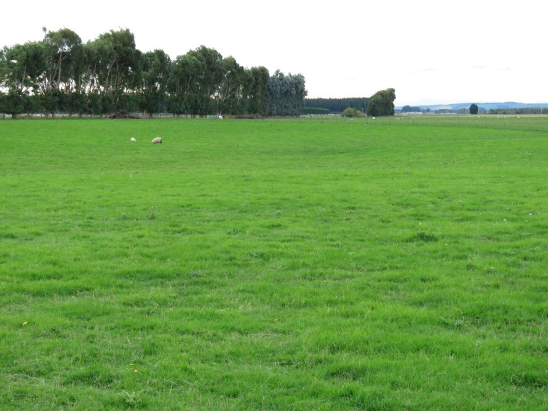 665 North Makarewa Grove Bush Road Makarewa_0