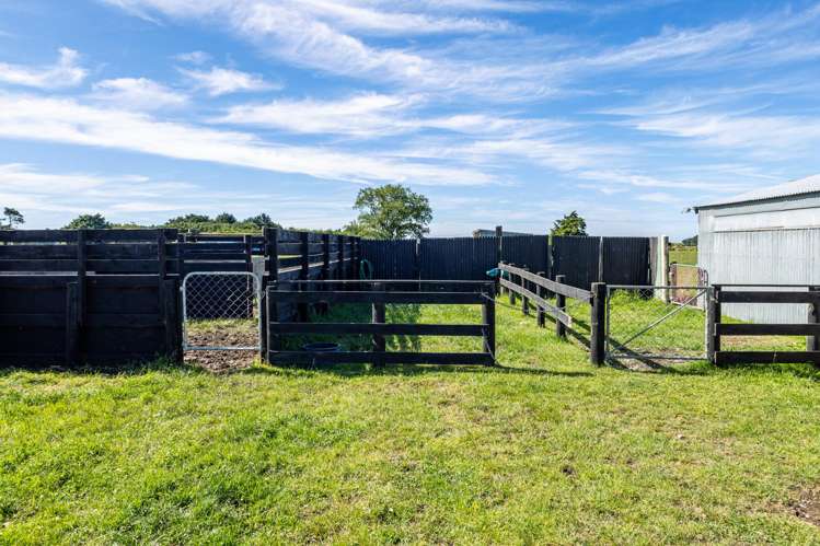 253 Russells Road Ashburton_20