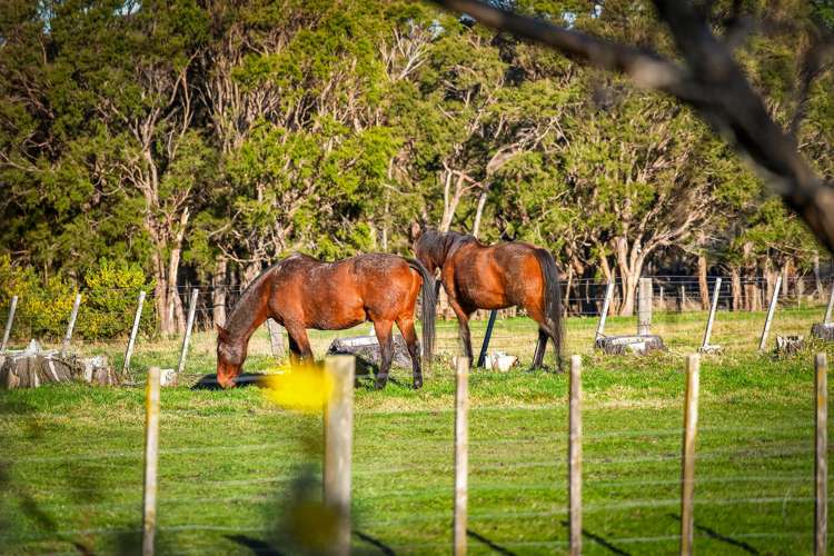 601 Norfolk Road Carterton_26