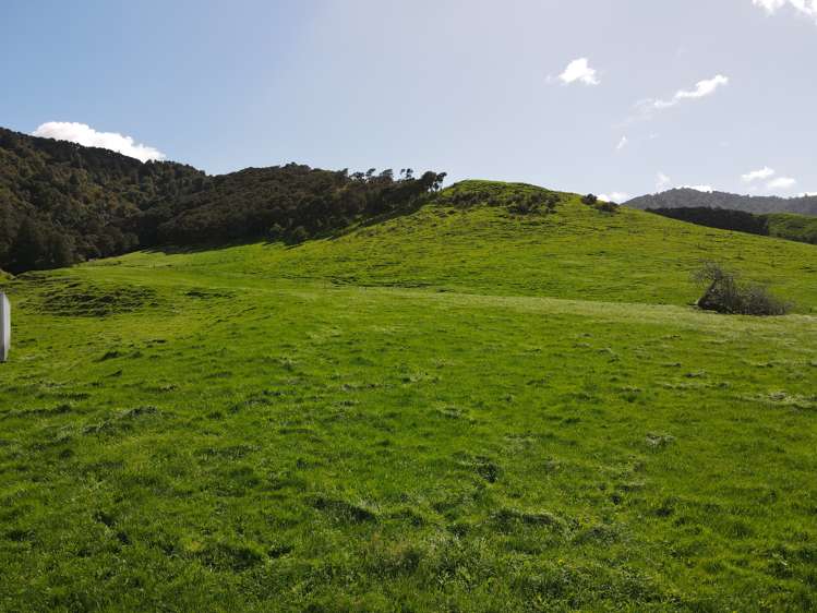 1949 Tahuna Road Te Hoe_7