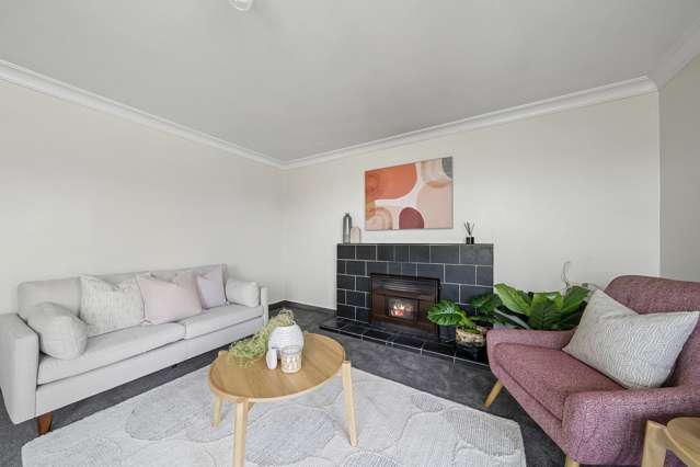 96 Tiro Tiro Road Levin_2