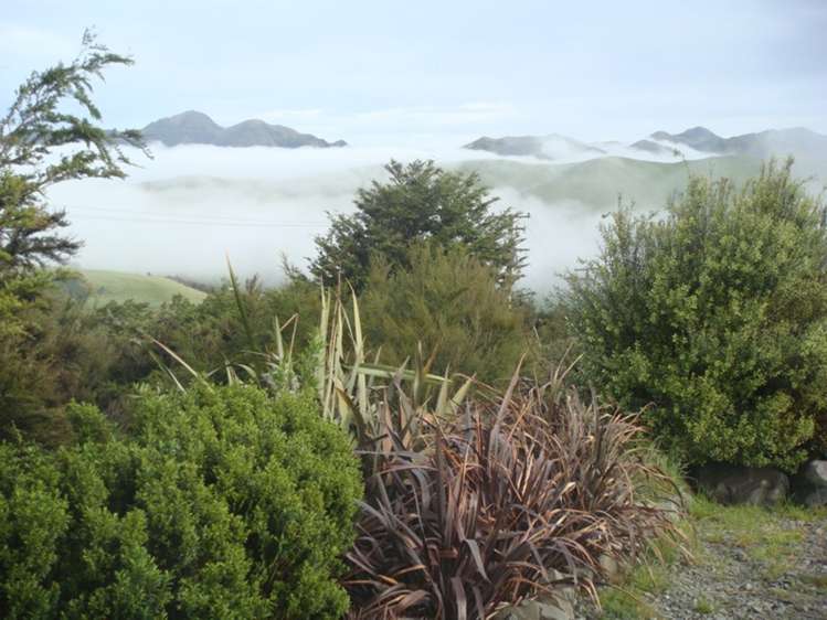 55 Terako Terrace Lyford_14