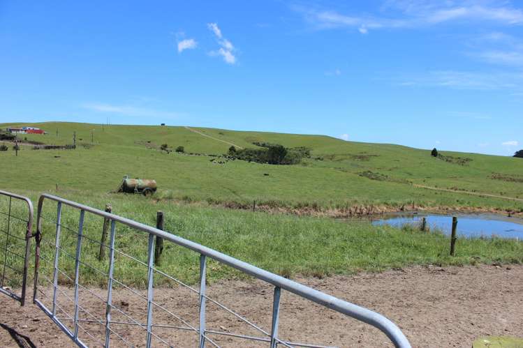 89 Jones Road Donnellys Crossing_10