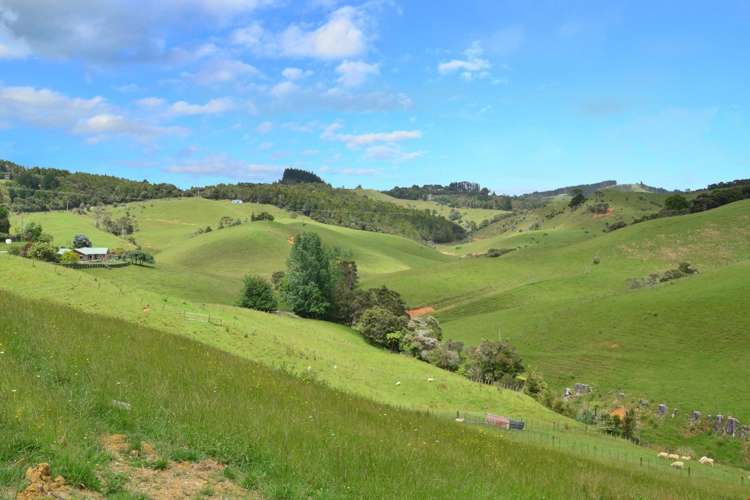 162 Wyllie Road Warkworth_21