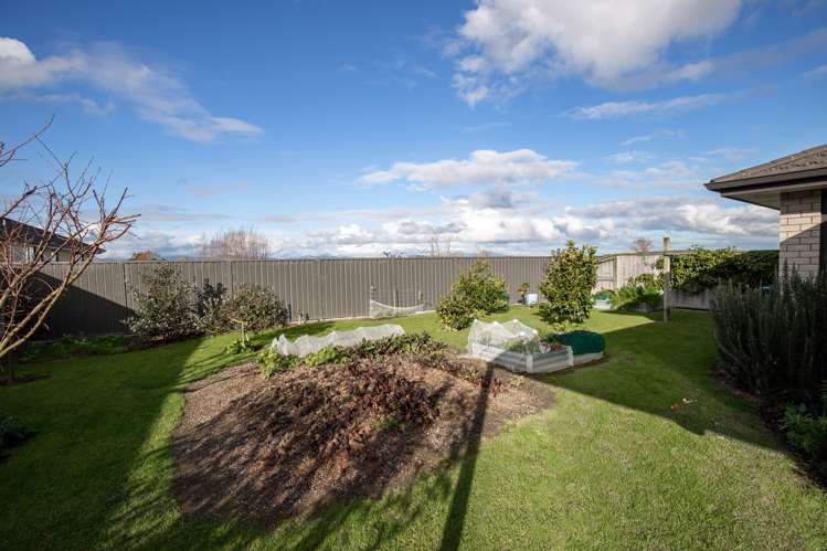 51 Benner Drive Ngatea_21