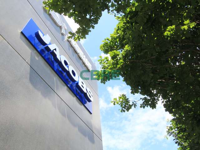 12 Nicholls Lane Parnell_2