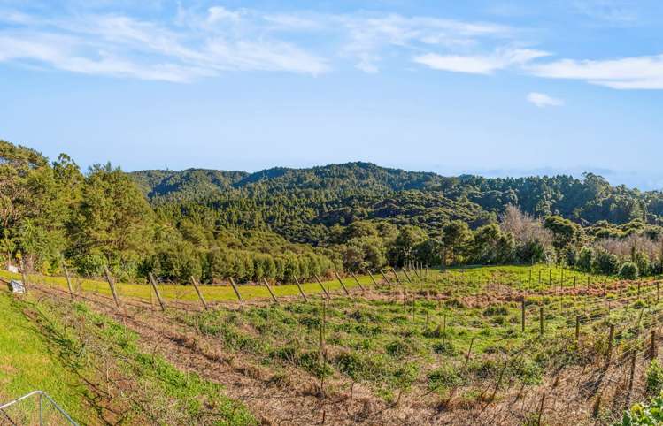 13 Welsh Hills Road Swanson_9