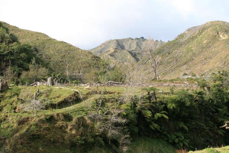 0n Makakaho Road Ngamatapouri_20