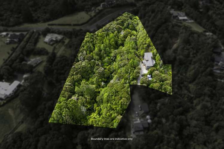 339 Ridge Road Paremoremo_34