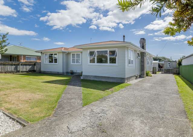 16 Reeve Street Levin_2