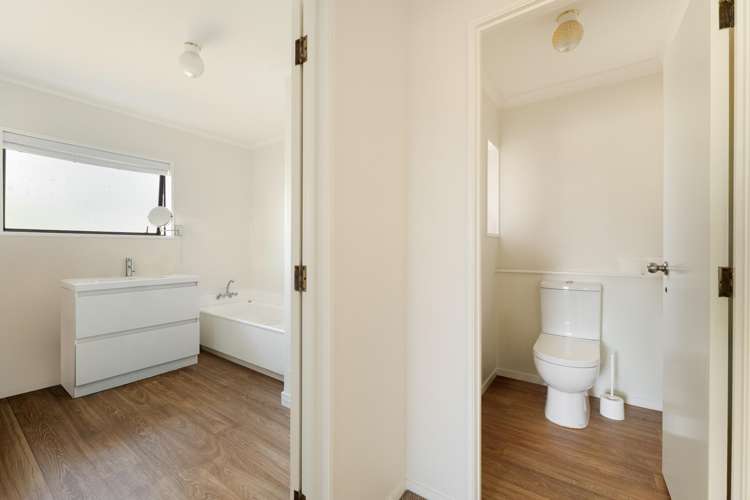 8B Shearman Grove Tauranga Central_13