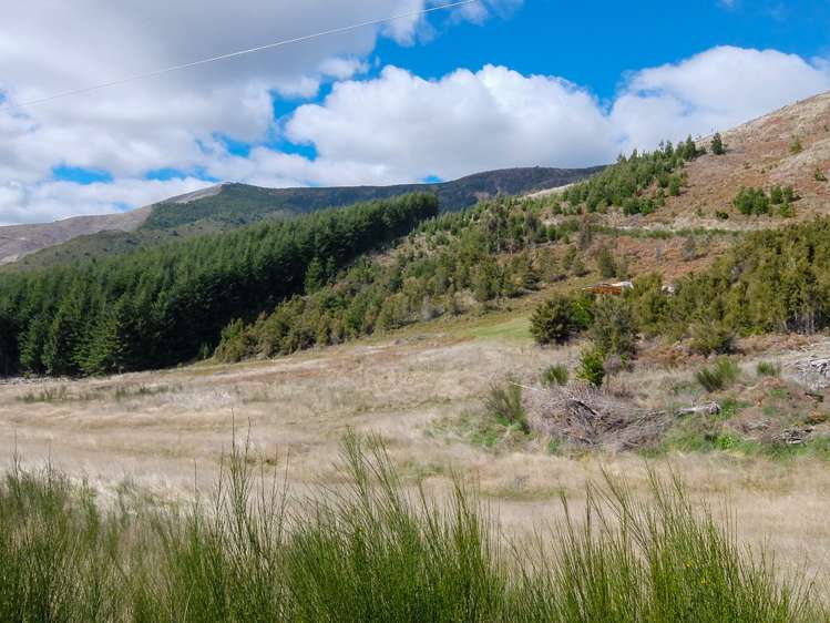 State Highway 63 Wairau Valley_18